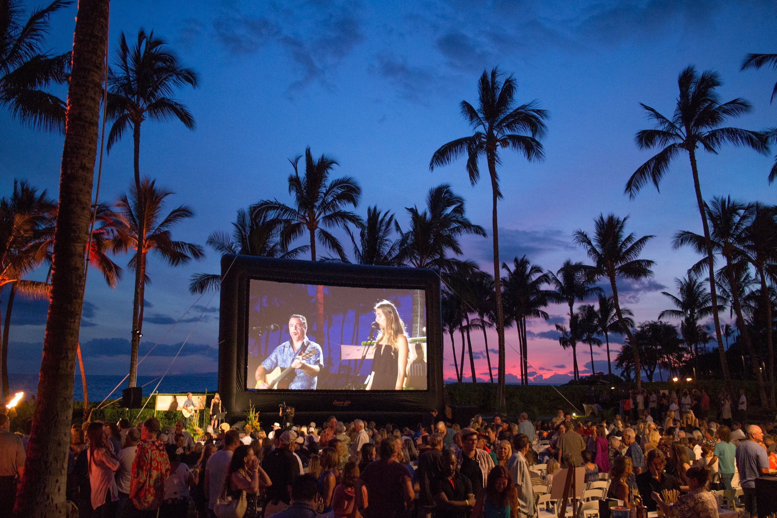 Elite 30ft Screen Hawaii